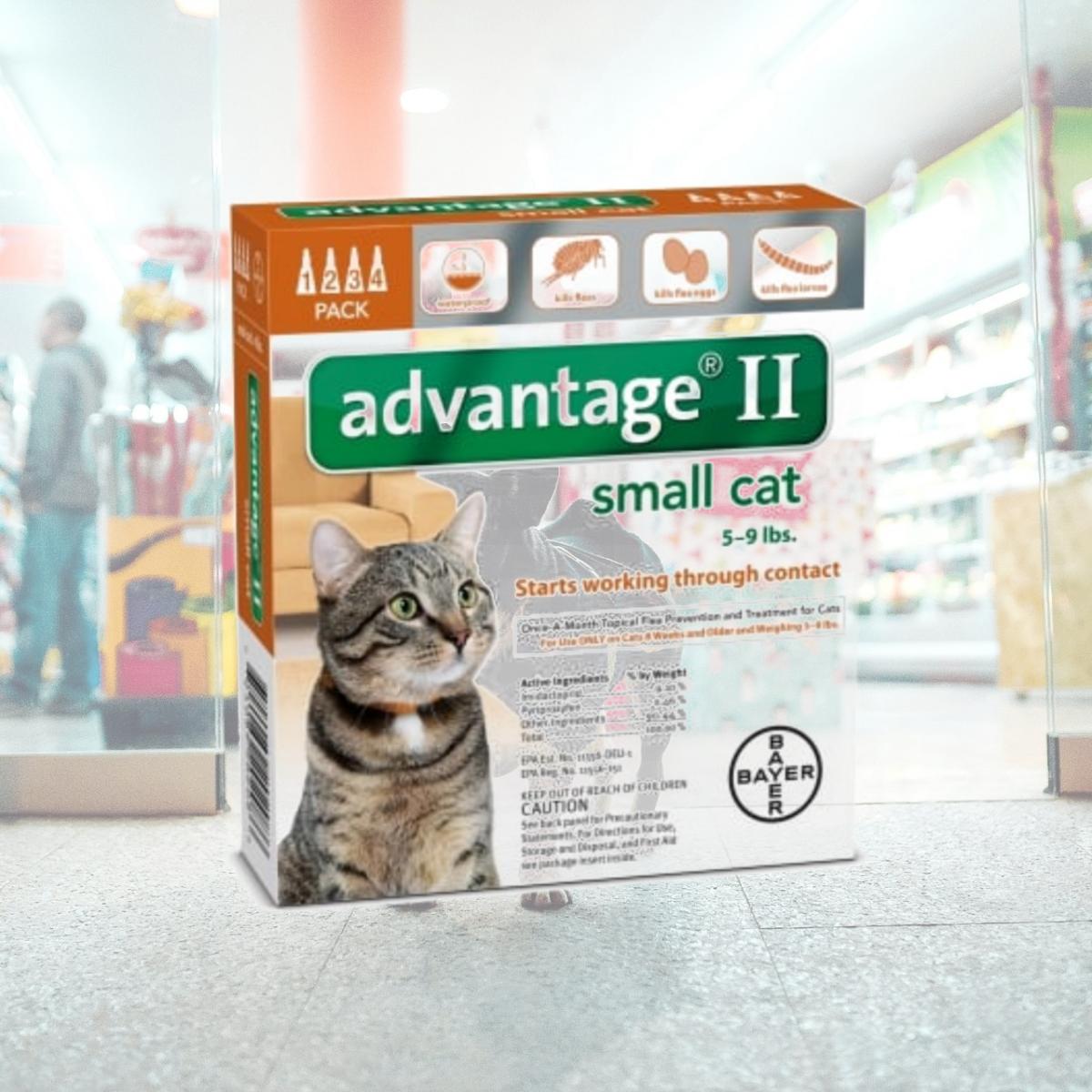 Picture of Bayer Healthcare Animal BY20208 Advantage Ii Small Cat- 4 Pack