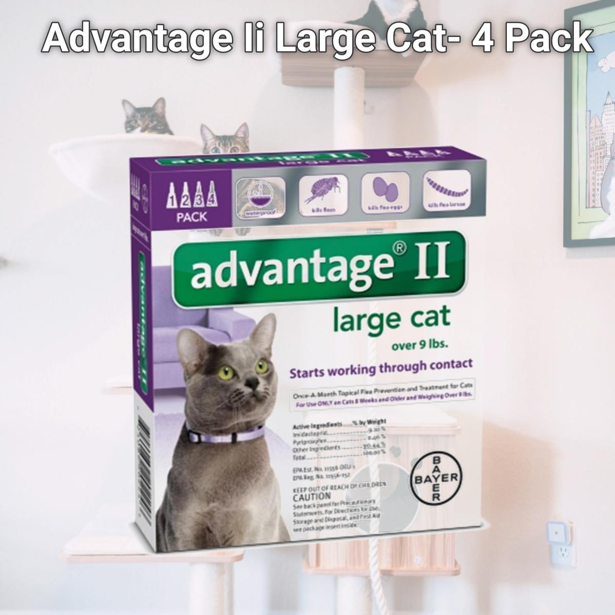 Picture of Bayer Healthcare Animal BY20224 Advantage Ii Large Cat- 4 Pack