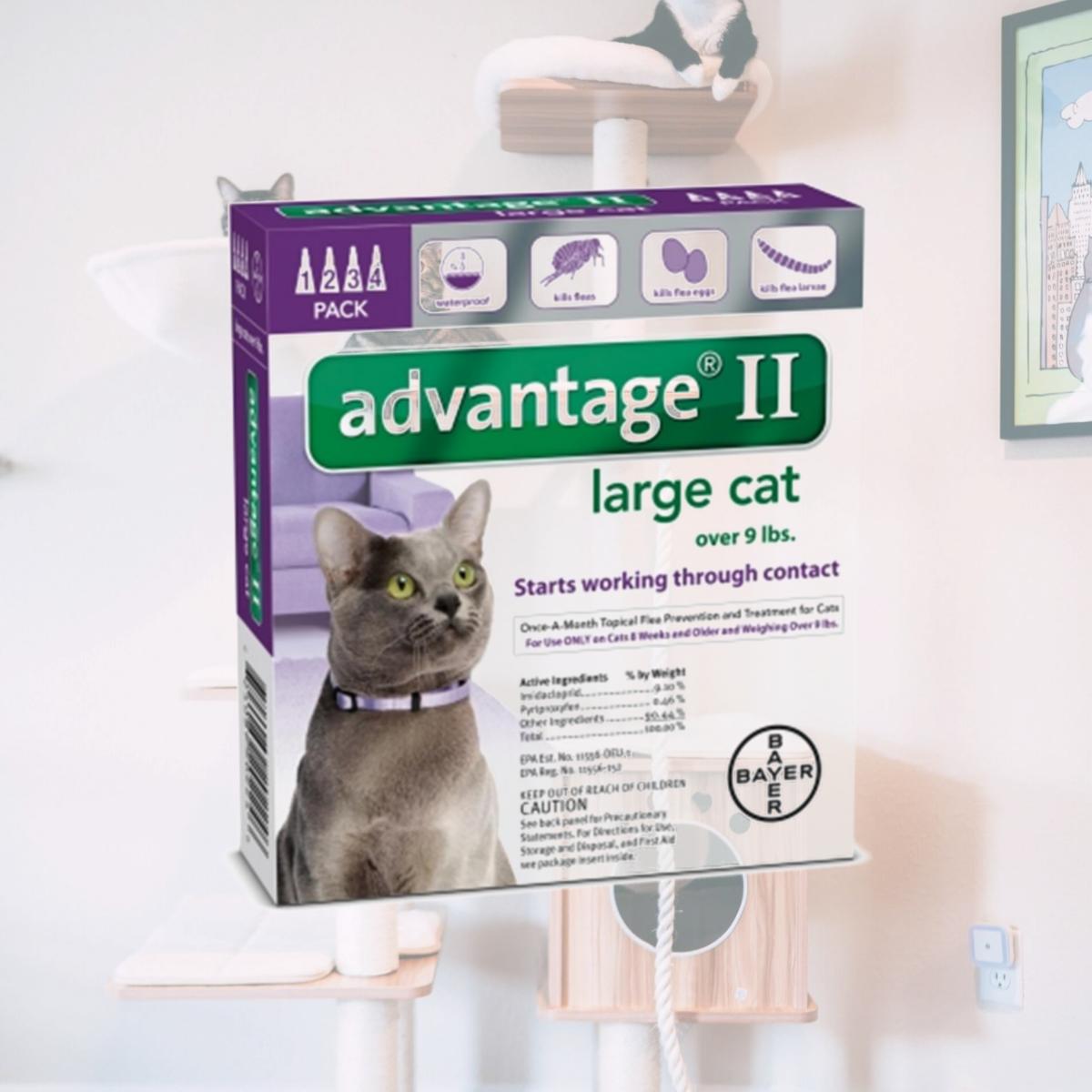 Picture of Bayer Healthcare Animal BY20224 Advantage Ii Large Cat- 4 Pack