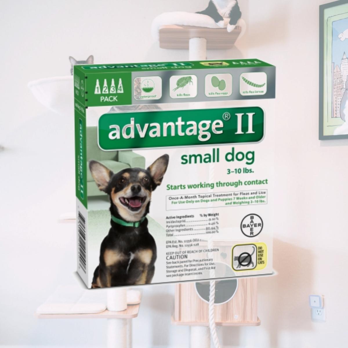 Picture of Bayer Healthcare Animal BY20240 Advantage Ii Small Dog- 4 Pack