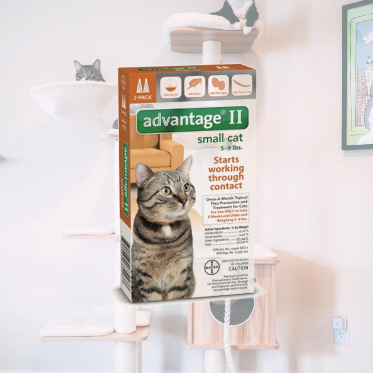 Picture of Bayer Healthcare Animal BY68243 Advantage Ii Small Cat- 2 Pack