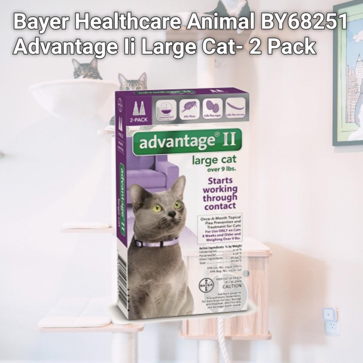 Picture of Bayer Healthcare Animal BY68251 Advantage Ii Large Cat- 2 Pack