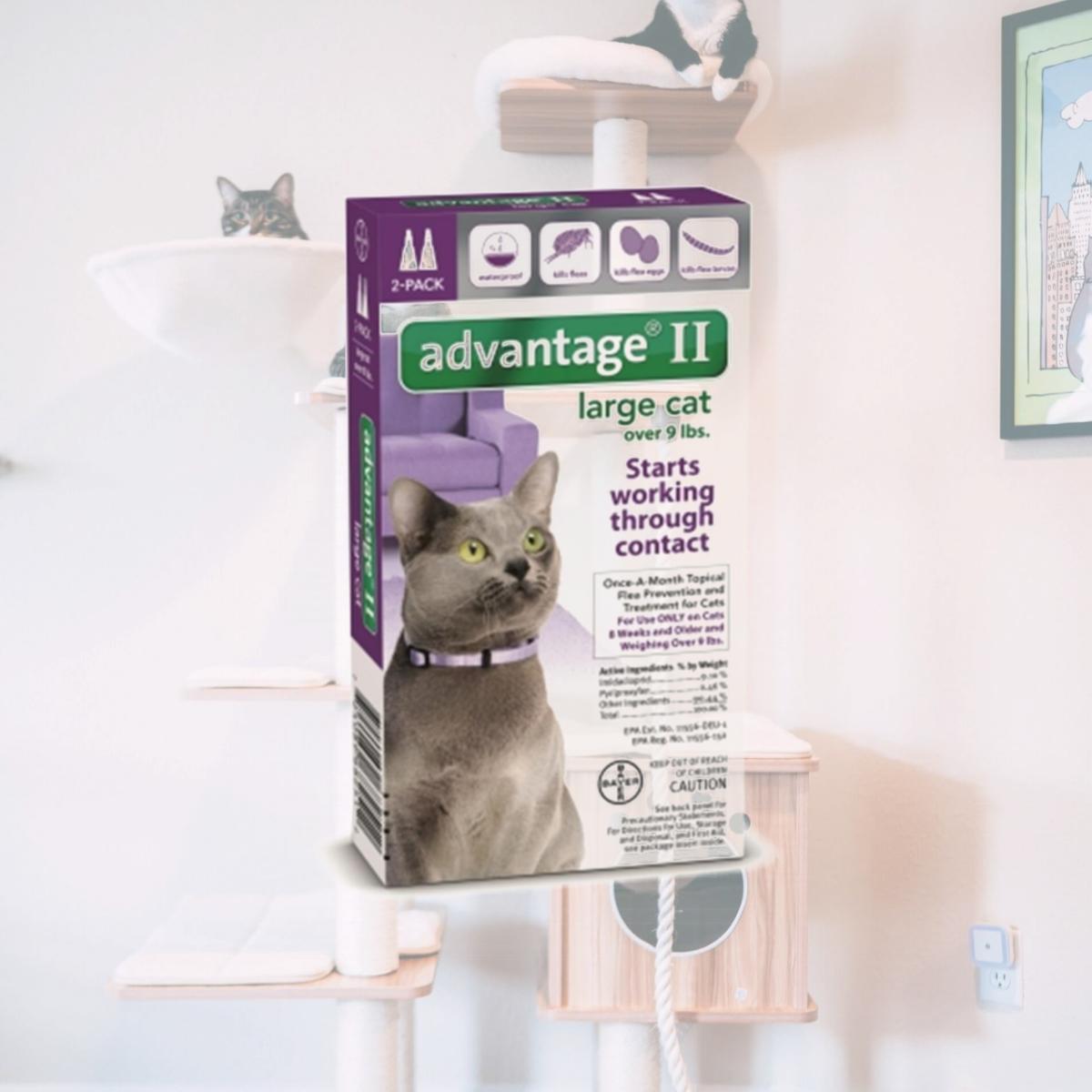 Picture of Bayer Healthcare Animal BY68251 Advantage Ii Large Cat- 2 Pack