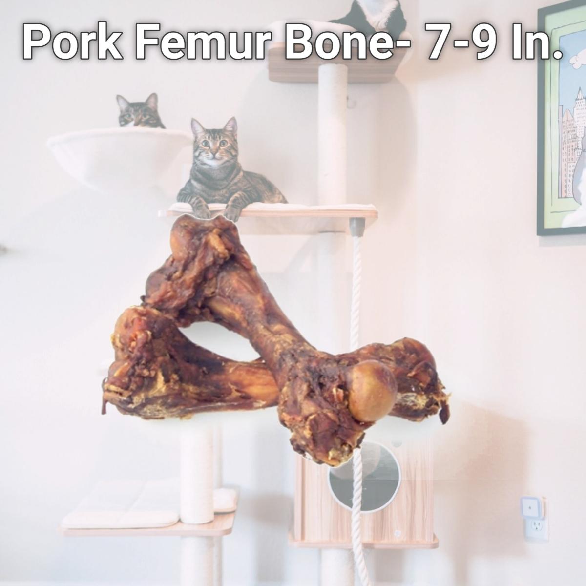Picture of Jones Natural Chews JN00601 Pork Femur Bone- 7-9 In.