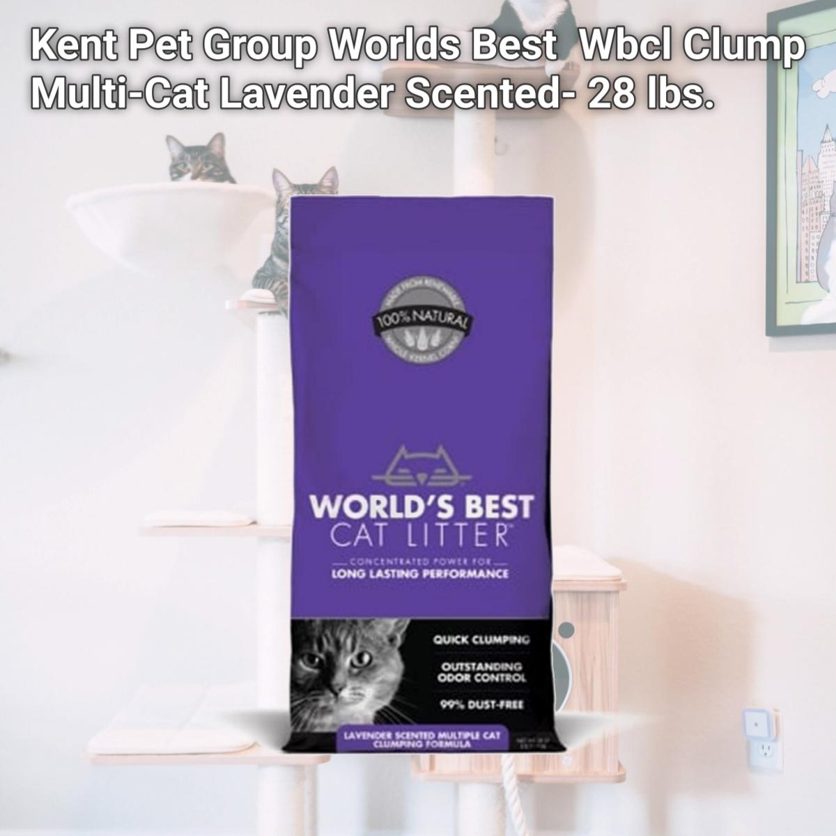 Picture of Kent Pet Group Worlds Best WB00170 Wbcl Clump Multi-Cat Lavender Scented- 28 lbs.