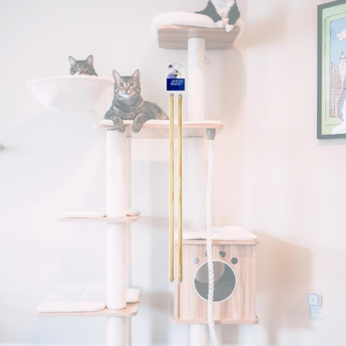 Picture of Prevue Pet Products PR00374 Birdie Basic 0.44 X 18 Perch