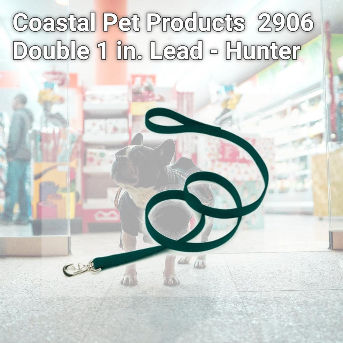 Picture of Coastal Pet Products CO06945 2906 Double 1 in. Lead - Hunter