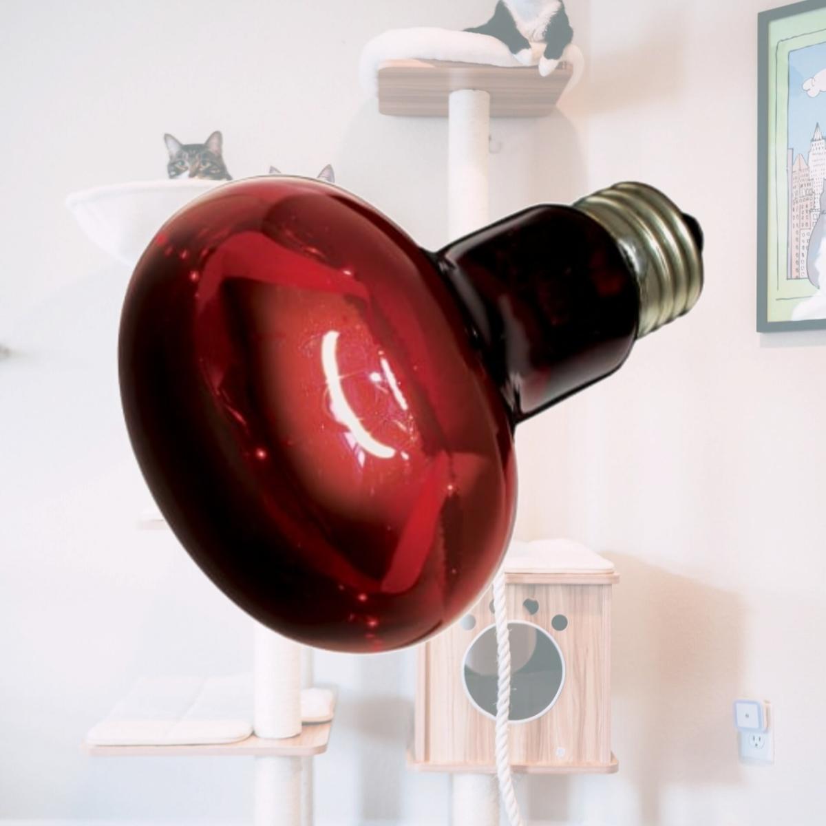 Picture of Zoo Med-Aquatrol ZM33075 75 W Red Infrared Heat Lamp