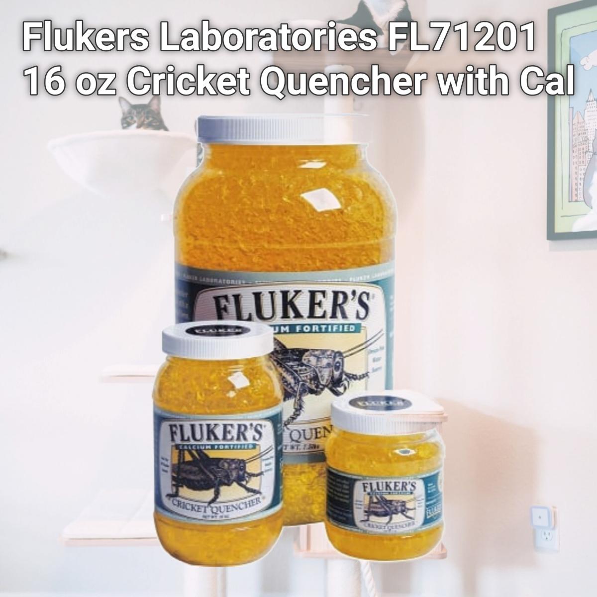 Picture of Flukers Laboratories FL71201 16 oz Cricket Quencher with Cal
