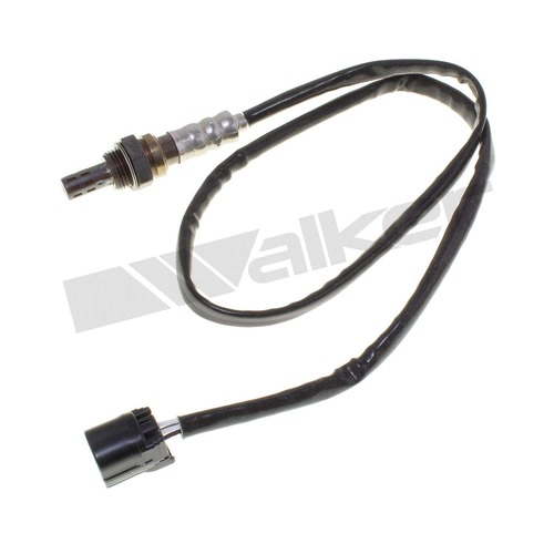 4-W Term Oxygen Sensor