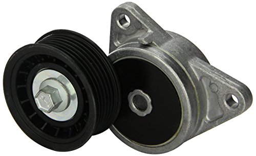 89318 Automatic Drive Belt Tensioners for 2000-2004 Ford Focus, Black