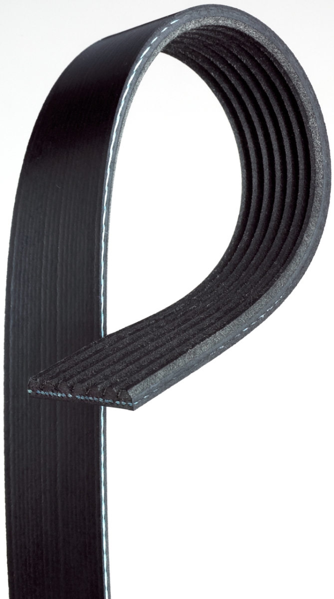 5080933 Poly Rib Gold Label Belt for 2010-2014 Autocar, Black