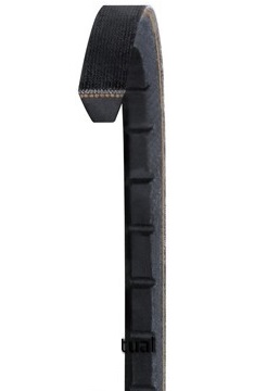 5VX590 GL VX-Wedge Belt