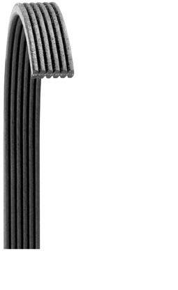 5080615 Poly Rib Gold Label Belt for 2006 Freightliner M2 100