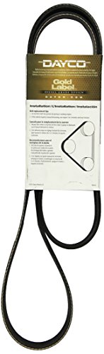 5080580 Poly Rib Gold Label Belt for 2004-2007 Blue Bird All American FE