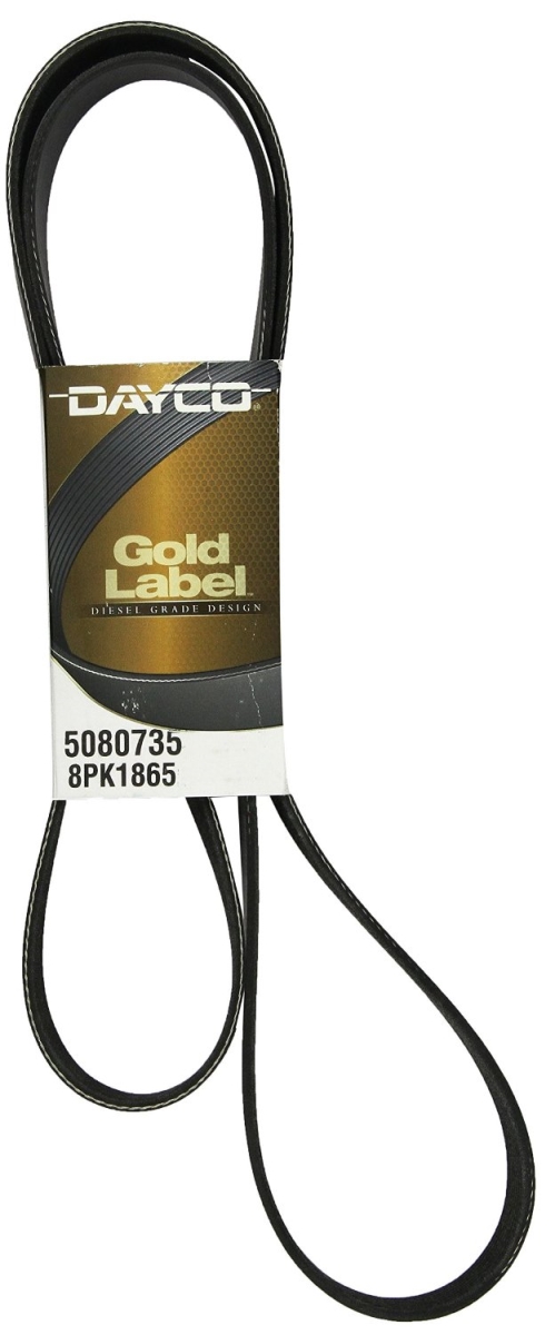 5080735 Poly Rib Gold Label Belt for 2003 Autocar LLC. Xpeditor WX
