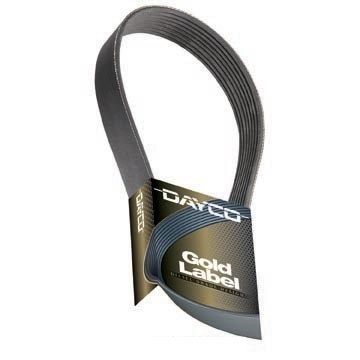 5080750 Poly Rib Gold Label Belt for 2003-2004 Ford Mustang