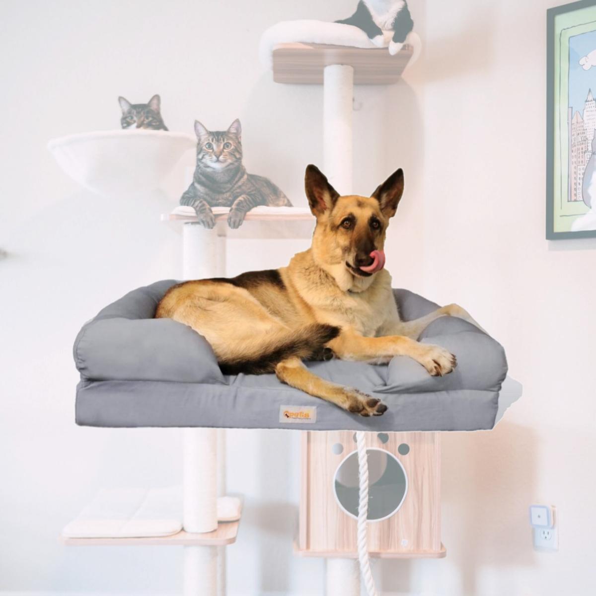 Picture of Qpets QPB36 Qpets Memory Foam Dog Bed, Ultimate Dog Lounge, Waterproof, Washable Cover, Skin Contact Safe (Large)