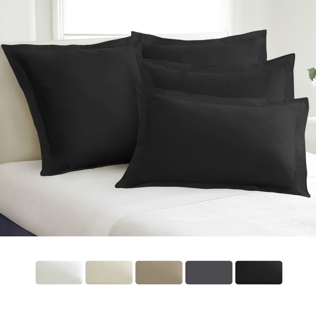Picture of Todays Home TOH24902BLAC07 Levinsohn Basic Cotton Rich Tailored Sham with 2 in. Flange  Black - Standard - Pack of 2