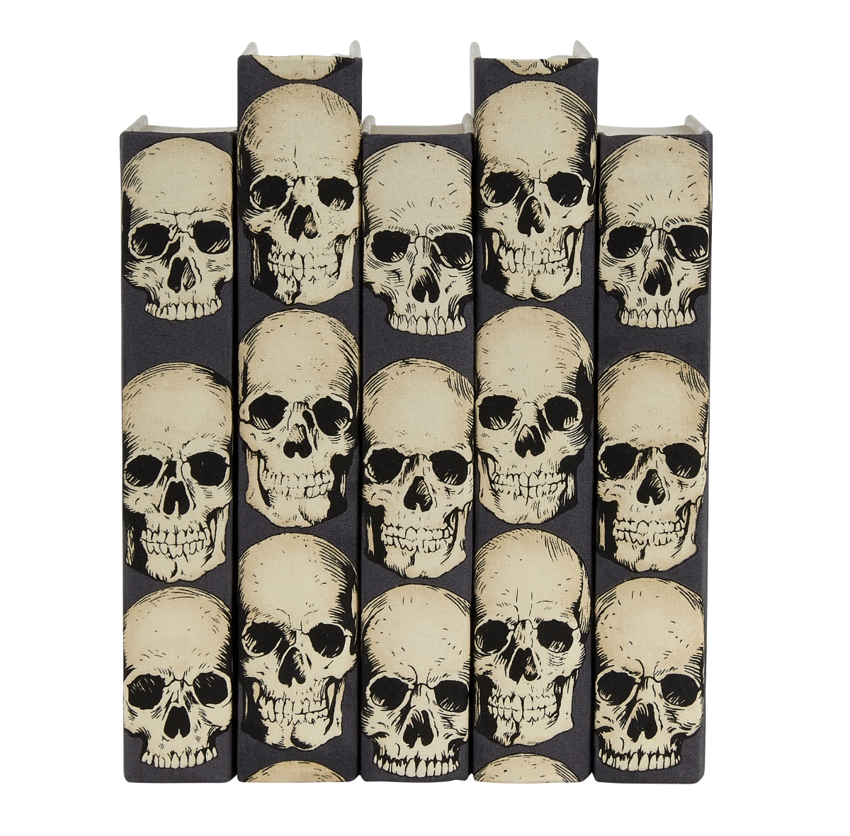 RSG 6.75-9.5 in. Decorative Book Set with Rad Skulls Gray Design - 5 Piece