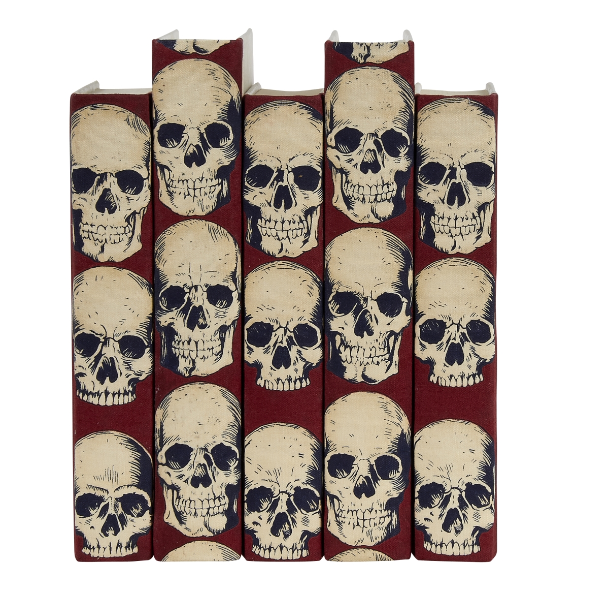 RSR 6.75-9.5 in. Decorative Book Set with Rad Skulls Red Design - 5 Piece