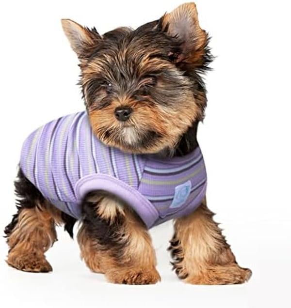 Picture of Nuegear TM57584 Cotton Tank Vest Teacup Pet Dog T-Shirts&#44; Purple - Extra Small