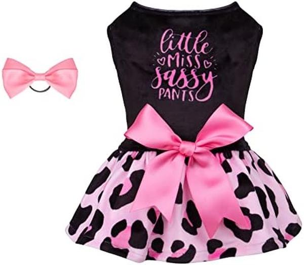 Picture of Nuegear TM57666 Leopard Print Little Miss Sassy Pants Velvet Dog Dress&#44; Pink - Small