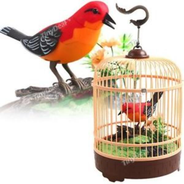 Picture of Netjett XS66996 UNO1RC Kids Boys & Girls Singing & Chirping Bird in Cage with Realistic Sounds & Movements
