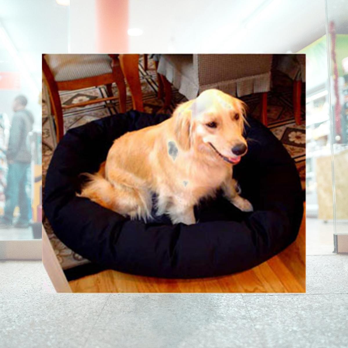 Picture of Majestic Pet 788995611202 24 in. Small Bagel Bed- Black