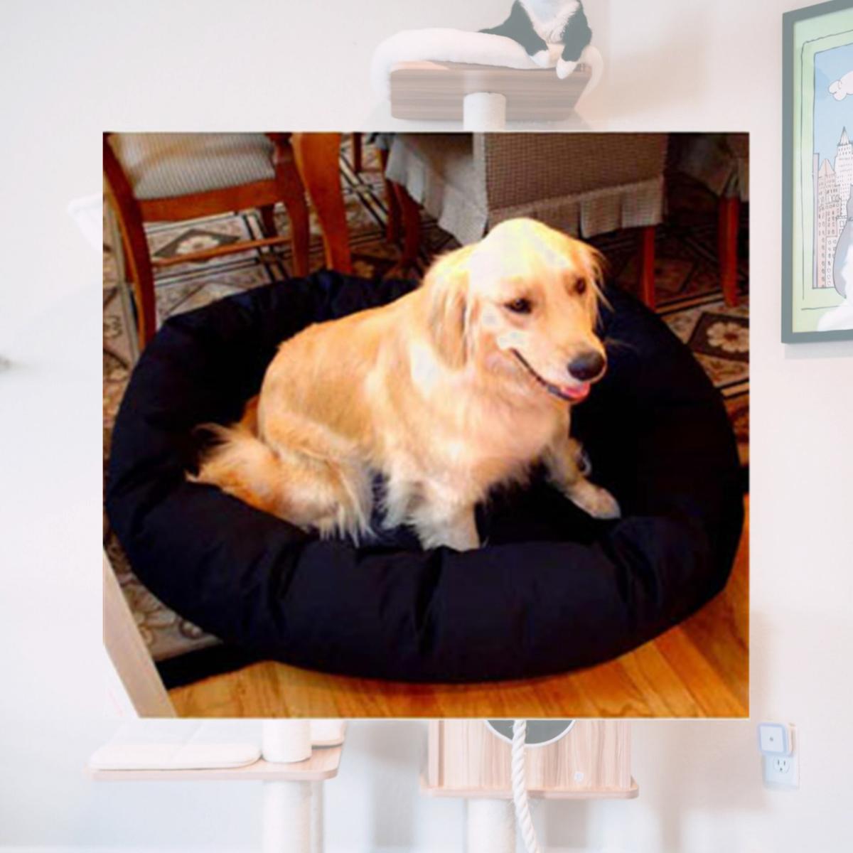 Picture of Majestic Pet 788995611400 40 in. Large Bagel Bed- Black