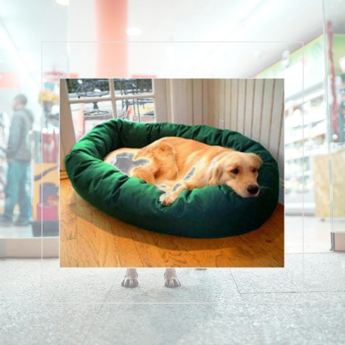 Picture of Majestic Pet 788995612339 32 in. Medium Bagel Bed- Green and Sherpa