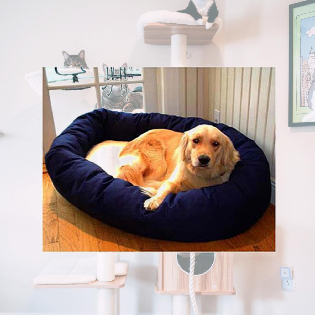 Picture of Majestic Pet 788995612421 40 in. Large Bagel Bed- Blue and Sherpa