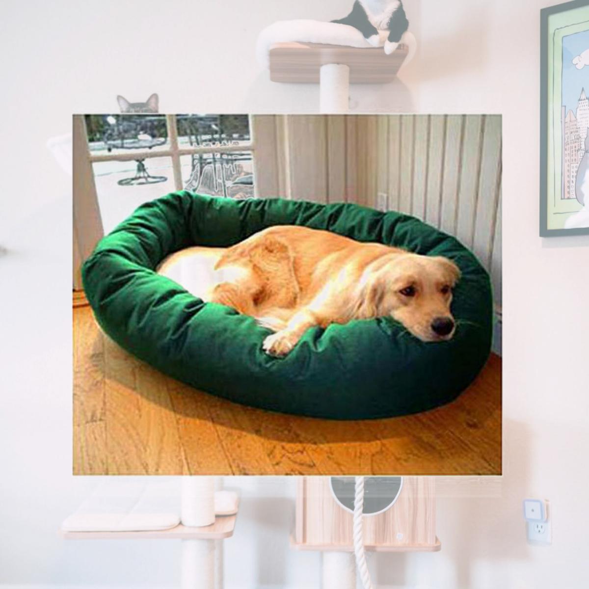 Picture of Majestic Pet 788995612537 52 in. Extra Large Bagel Bed- Green and Sherpa