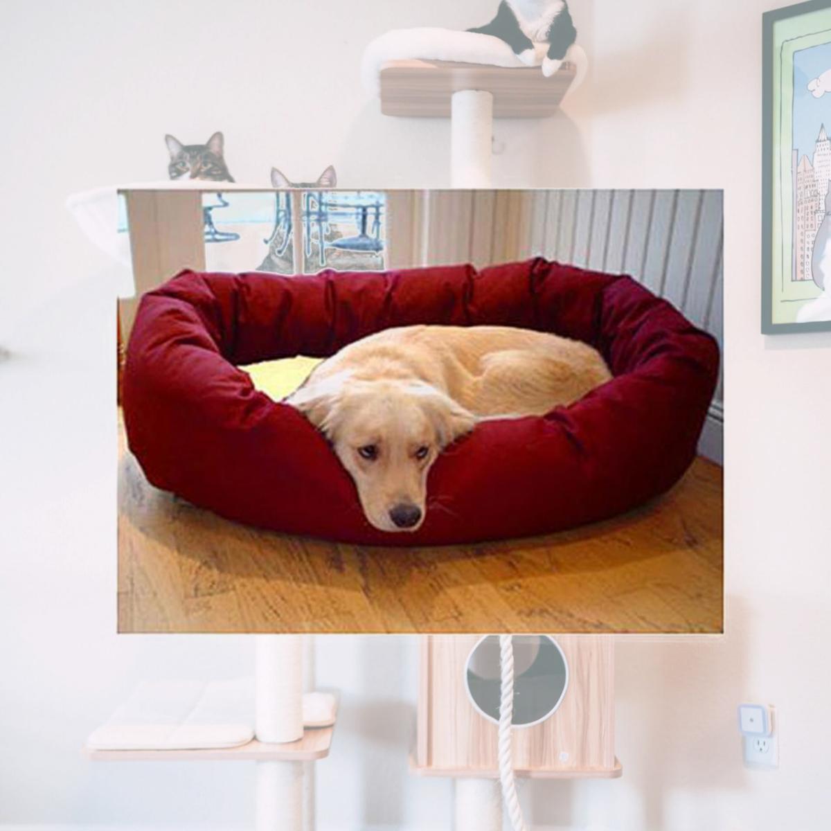 Picture of Majestic Pet 788995612544 52 in. Extra Large Bagel Bed- Burgundy and Sherpa