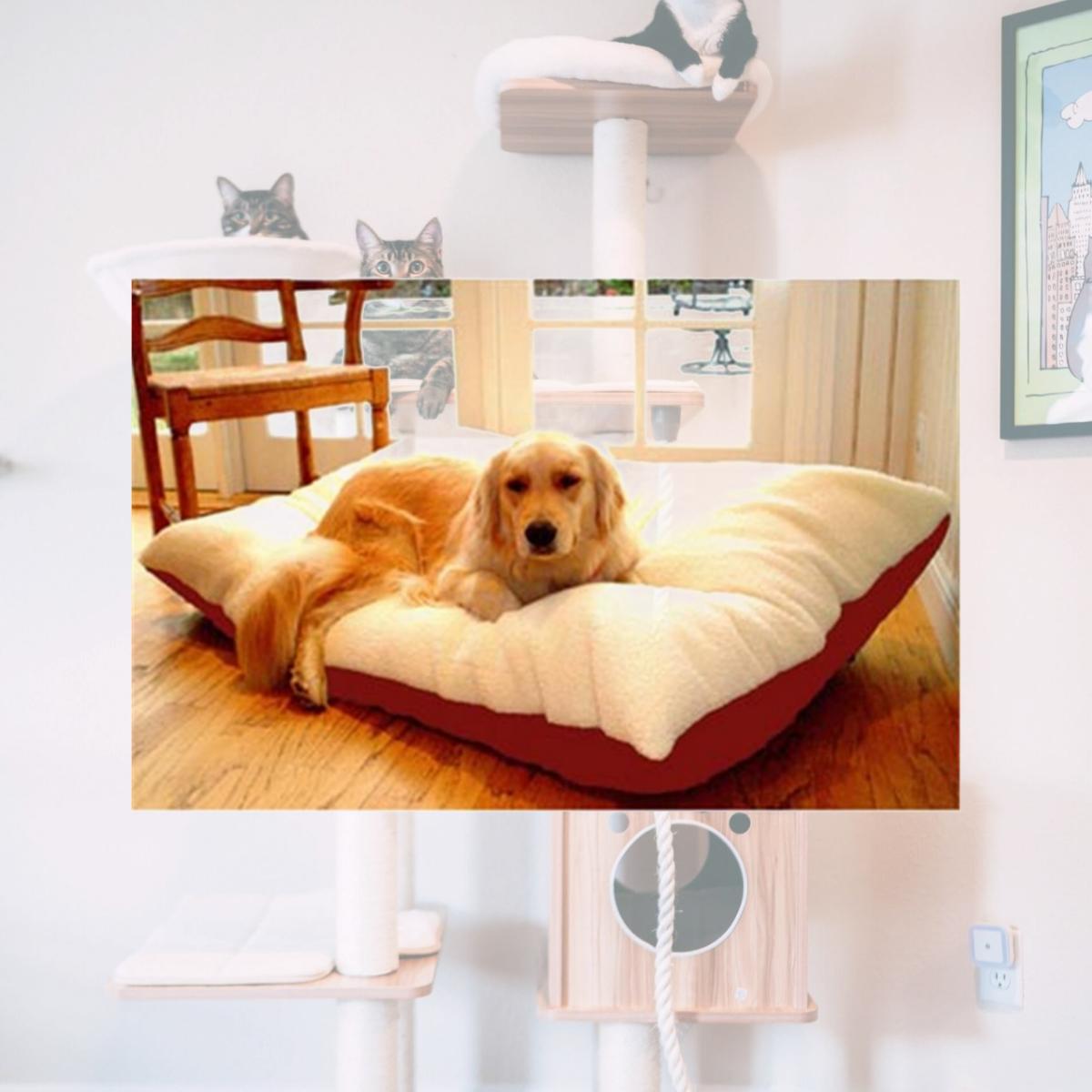 Picture of Majestic Pet 788995651413 30x40 Medium Rectangle Pet Bed- Red