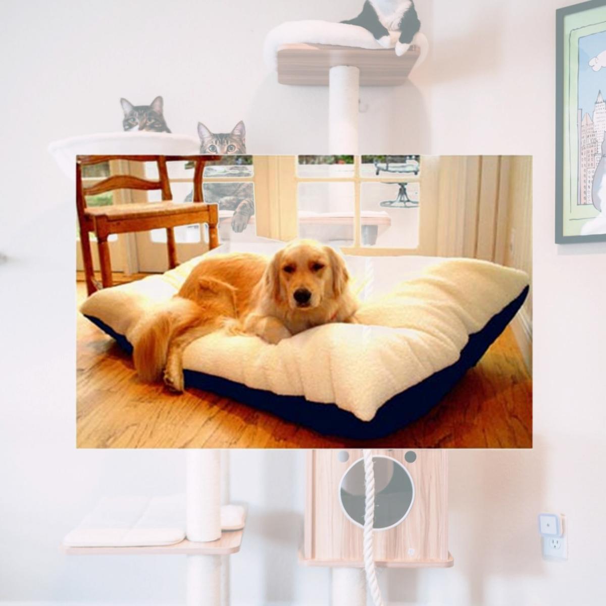 Picture of Majestic Pet 788995651420 30x40 Medium Rectangle Pet Bed- Blue