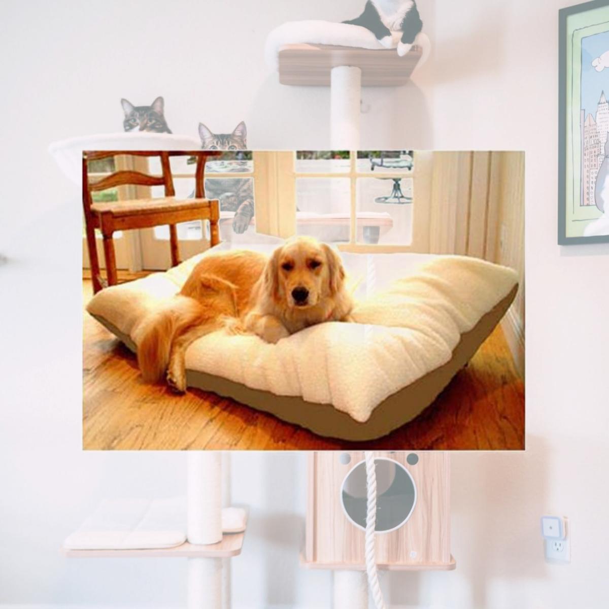Picture of Majestic Pet 788995651451 30x40 Medium Rectangle Pet Bed- Khaki