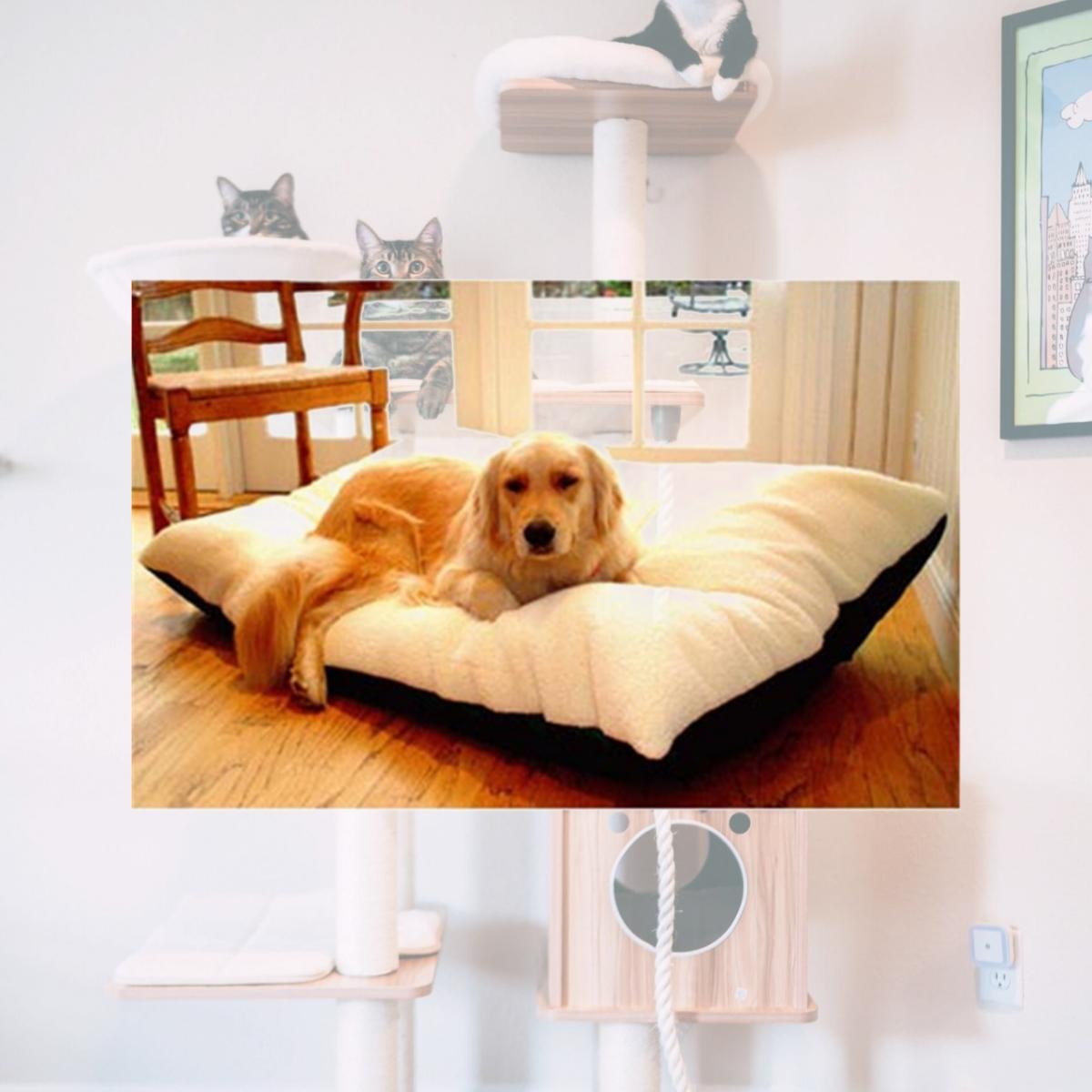 Picture of Majestic Pet 788995652403 36x48 Large Rectangle Pet Bed- Black