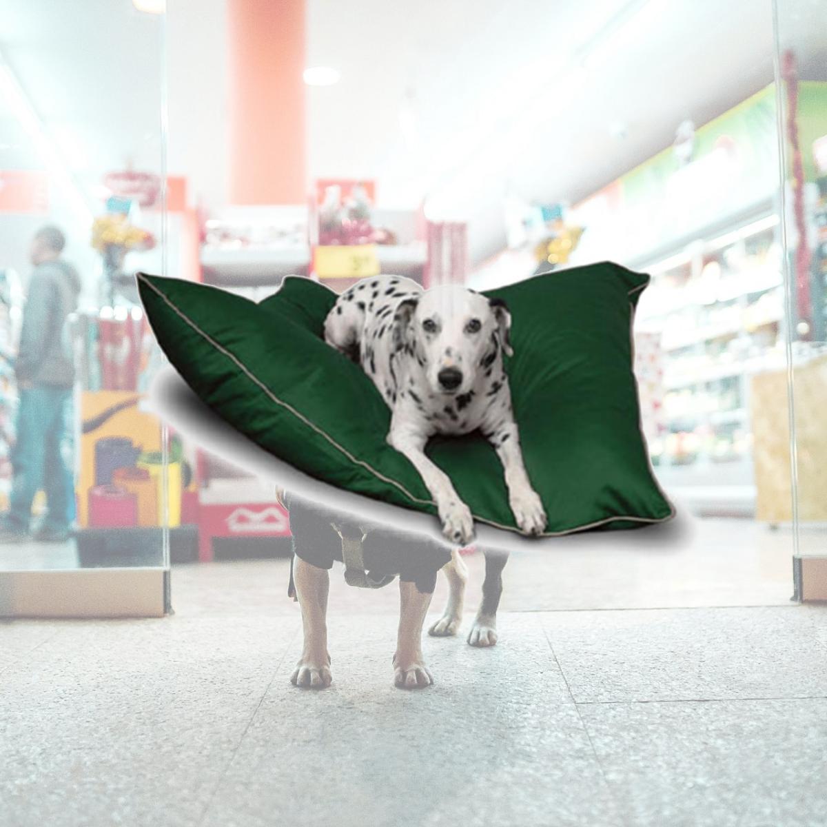 Picture of Majestic Pet 788995653530 28x35 Medium Super Value Pet Bed- Green