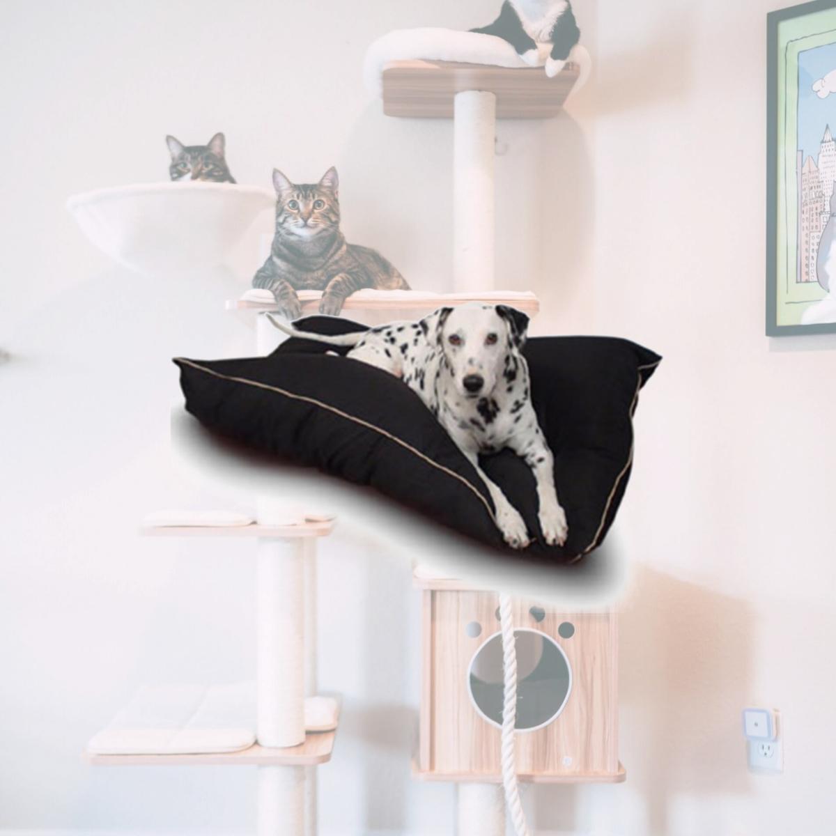 Picture of Majestic Pet 788995654605 35x46 Large Super Value Pet Bed- Black
