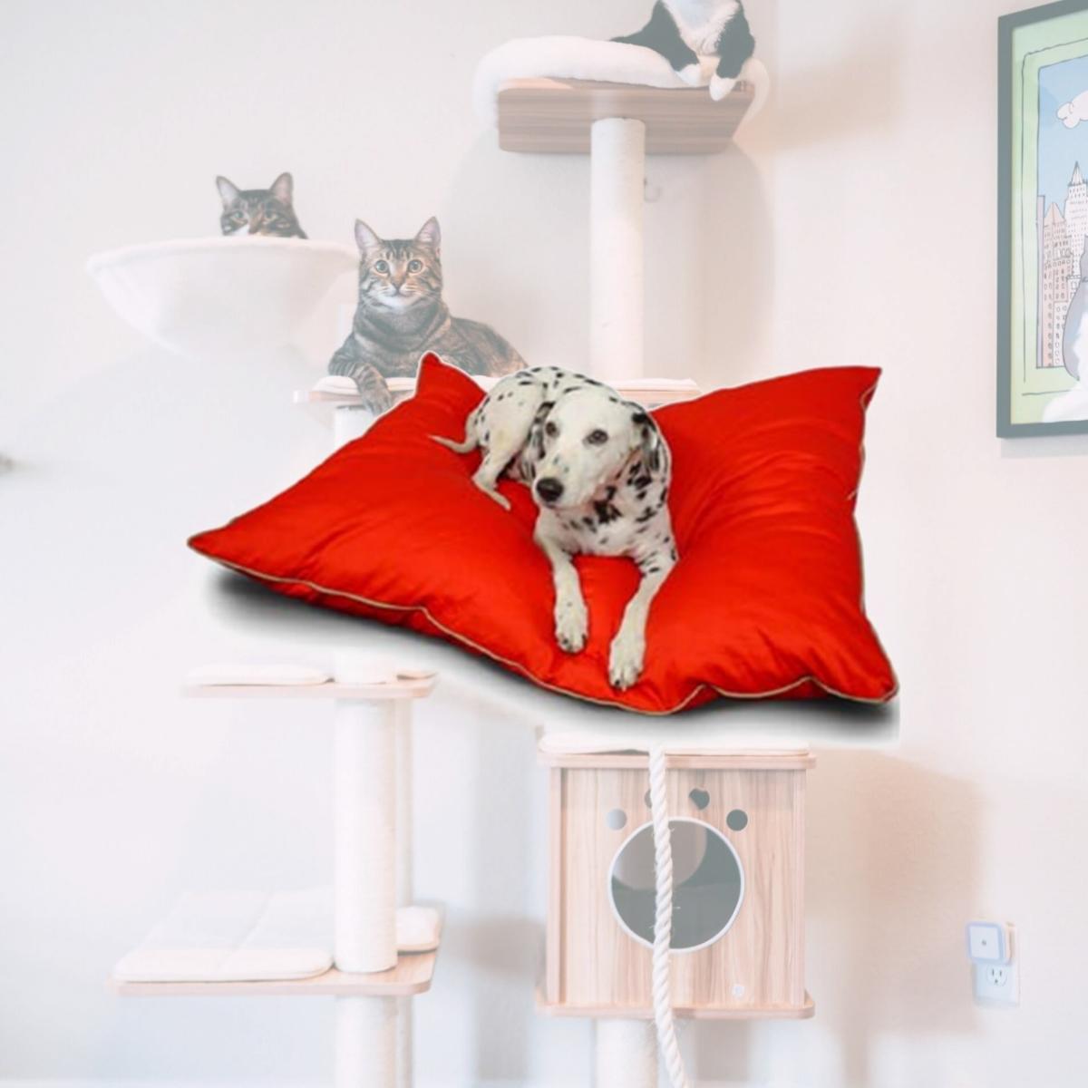 Picture of Majestic Pet 788995654612 35x46 Large Super Value Pet Bed- Red