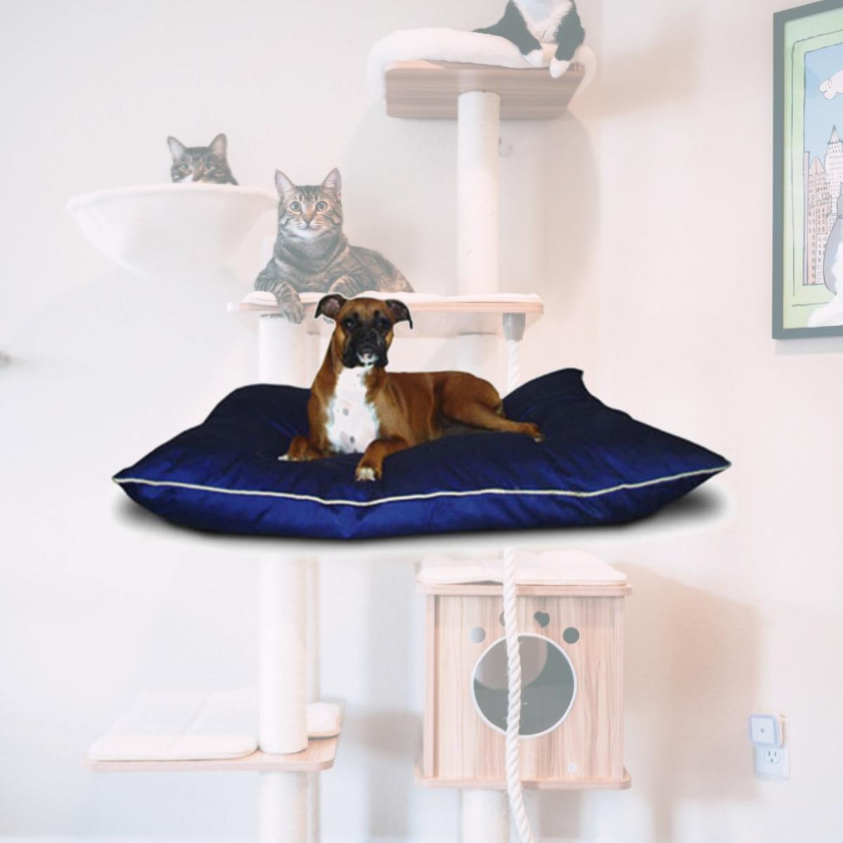 Picture of Majestic Pet 788995654629 35x46 Large Super Value Pet Bed- Blue