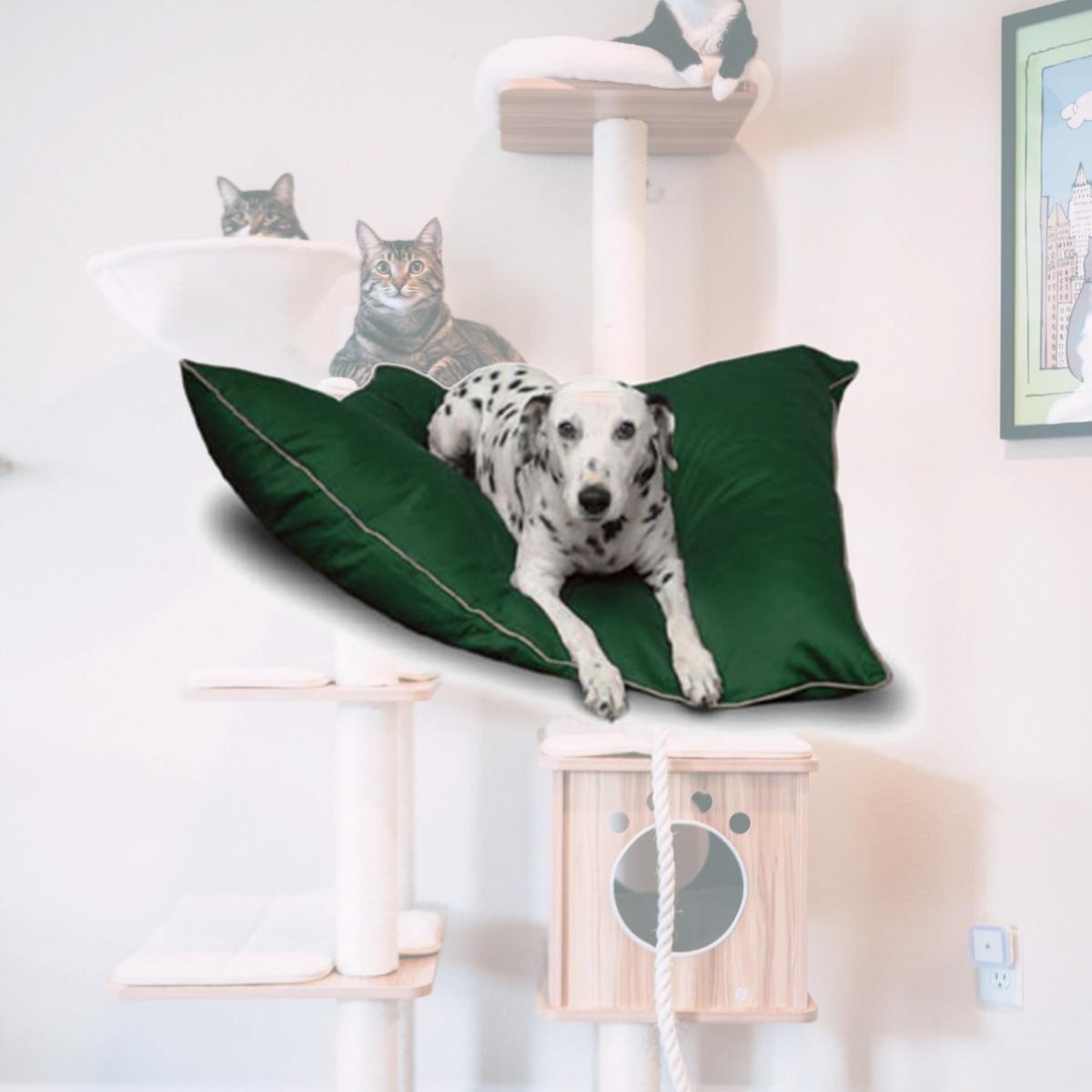 Picture of Majestic Pet 788995654636 35x46 Large Super Value Pet Bed- Green