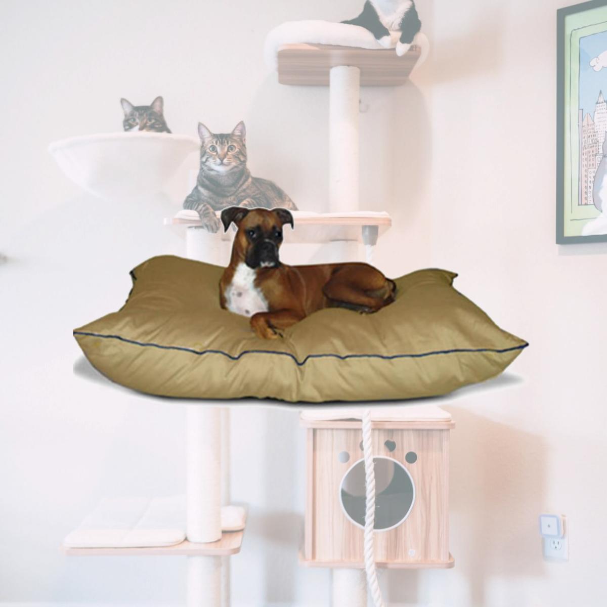 Picture of Majestic Pet 788995654650 35x46 Large Super Value Pet Bed- Khaki