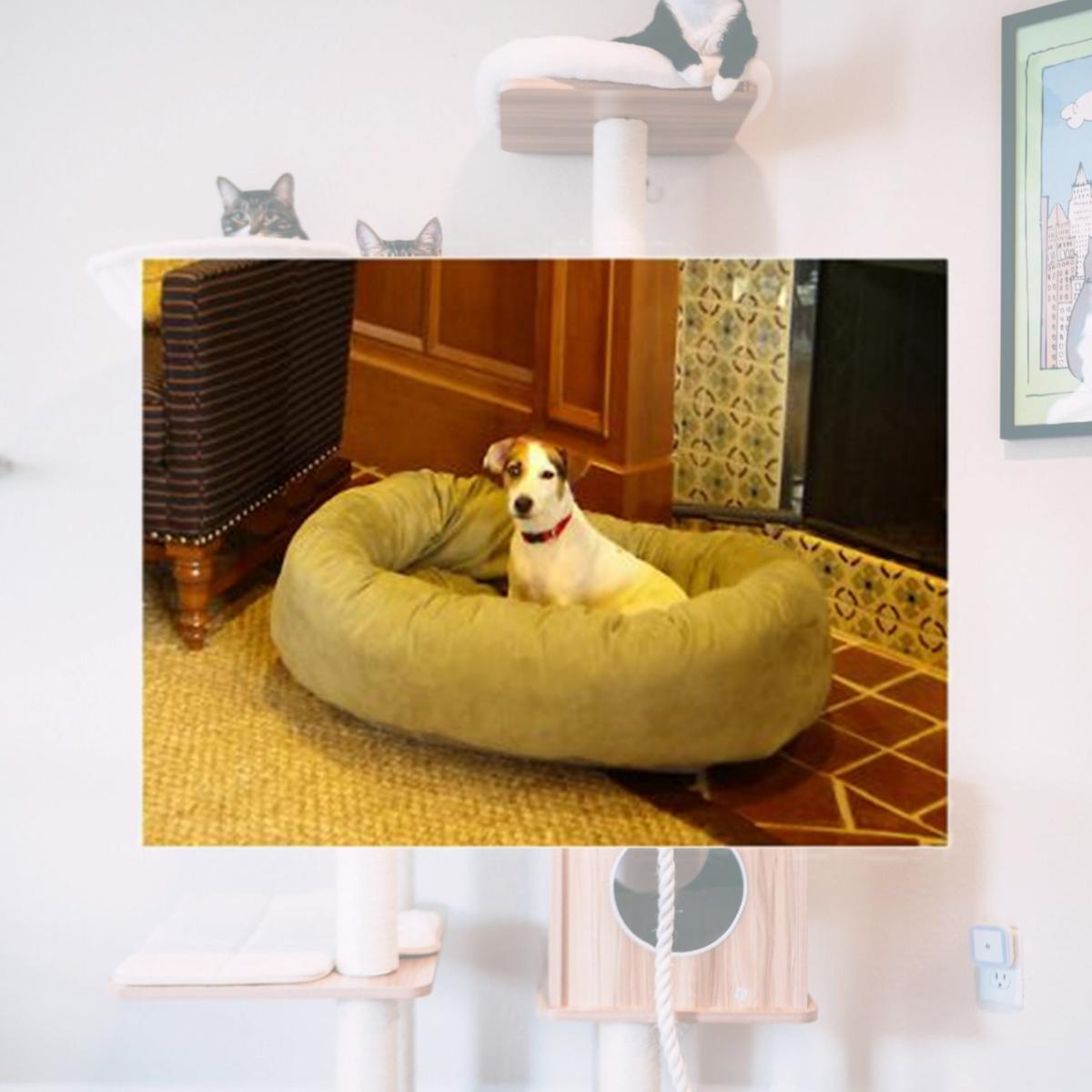 Picture of Majestic Pet 78899567306 32 in. Bagel Dog Pet Bed Suede Sage