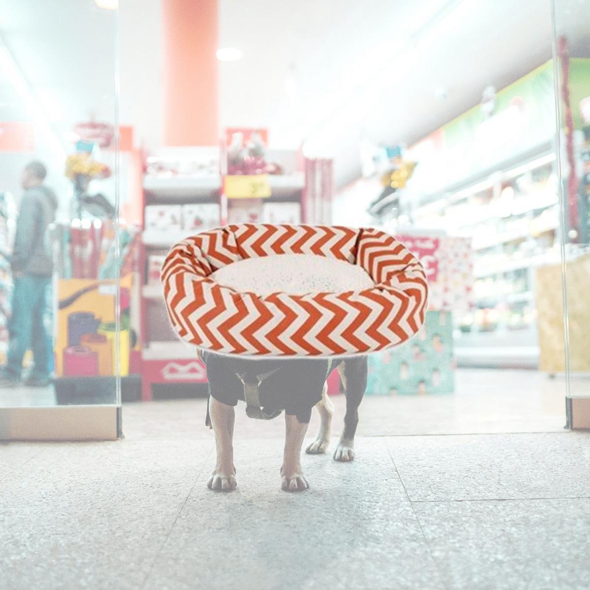 Picture of MajesticPet 788995540236 25 in. Zig Zag Sherpa Donut Pet Bed, Burnt Orange