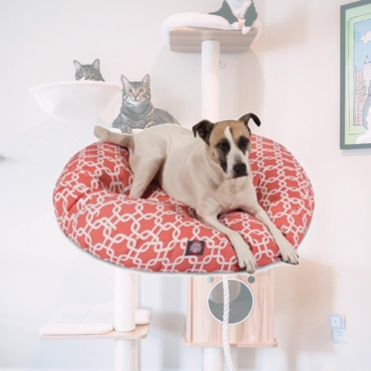 Picture of Majestic Pet 78899551107 Coral Links Large Round Dog Bed