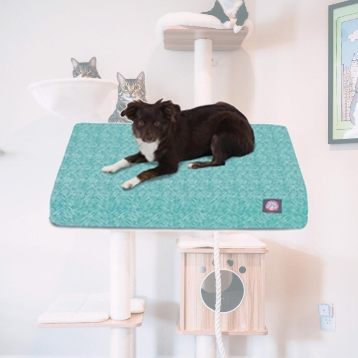 Picture of Majestic Pet 78899551250 Teal Navajo Small Orthopedic Memory Foam Rectangle Dog Bed