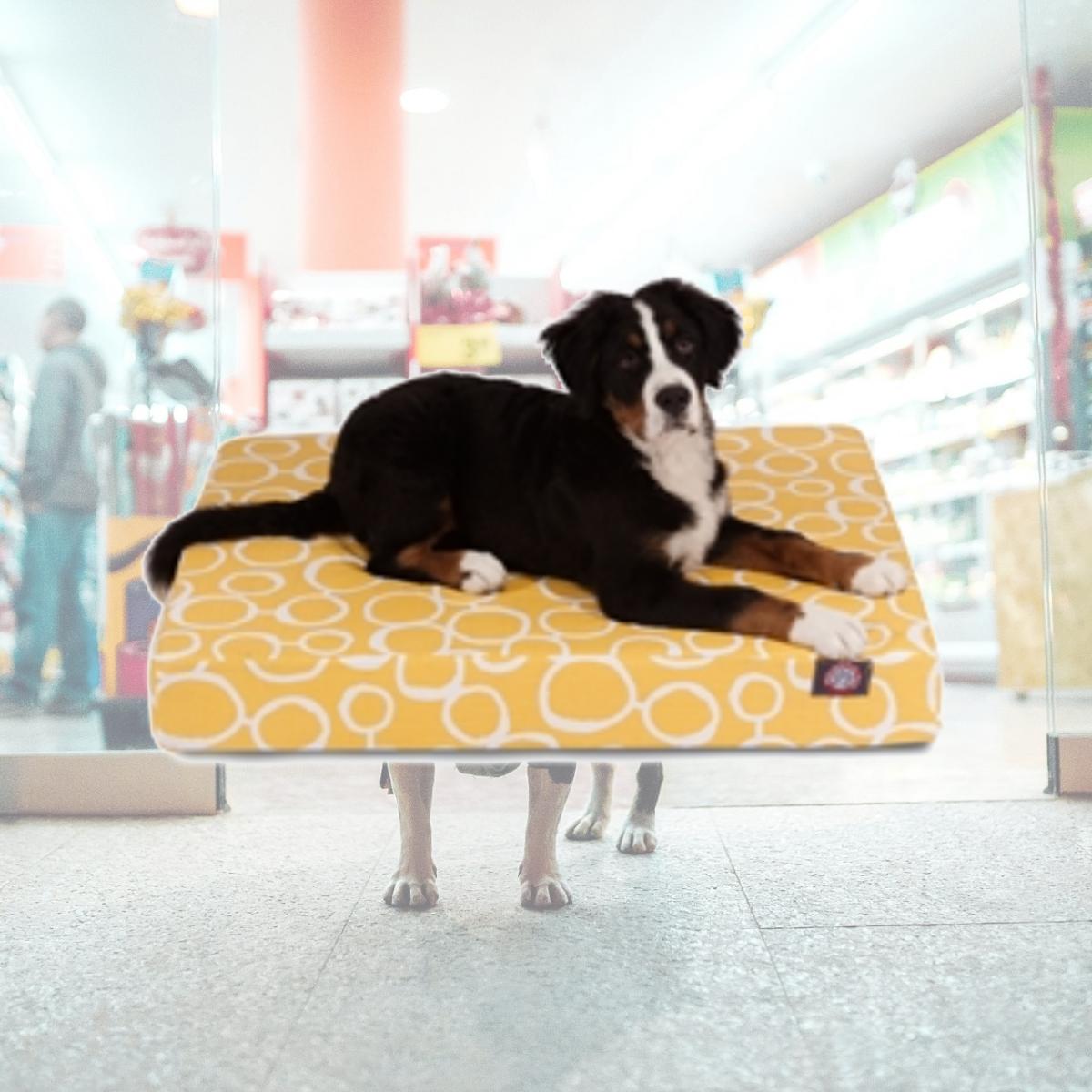 Picture of Majestic Pet 78899551474 Yellow Fusion Medium Orthopedic Memory Foam Rectangle Dog Bed