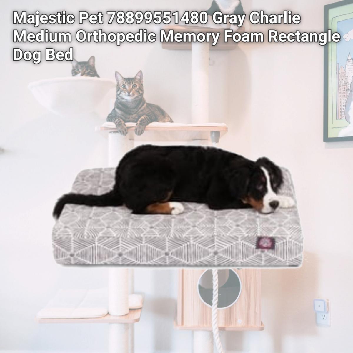 Picture of Majestic Pet 78899551480 Gray Charlie Medium Orthopedic Memory Foam Rectangle Dog Bed